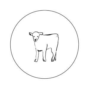 Simple line drawing of a lamb inside circle