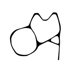 Abstract black organic shape on grey background